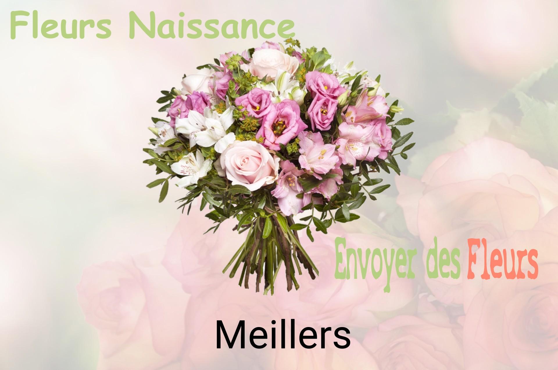 Bouquet de fleurs de naissance livré à Meillers