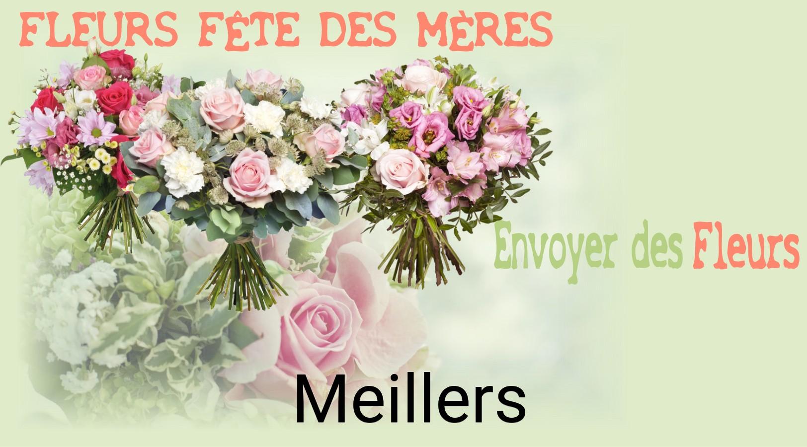 Bouquet de Fête des Mères livré à Meillers